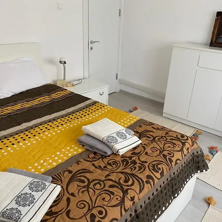 Carolina Apartment Timisoara